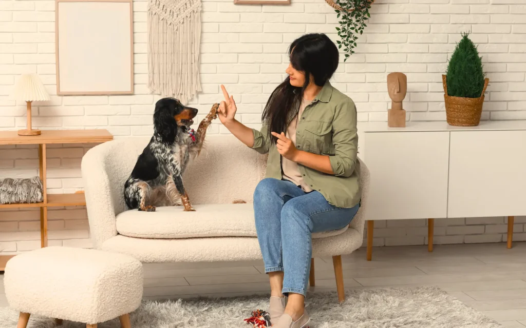 Mold dog training in progress