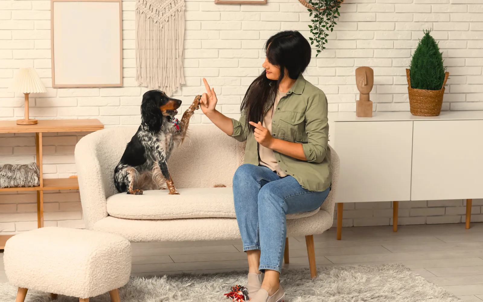 Mold dog training in progress