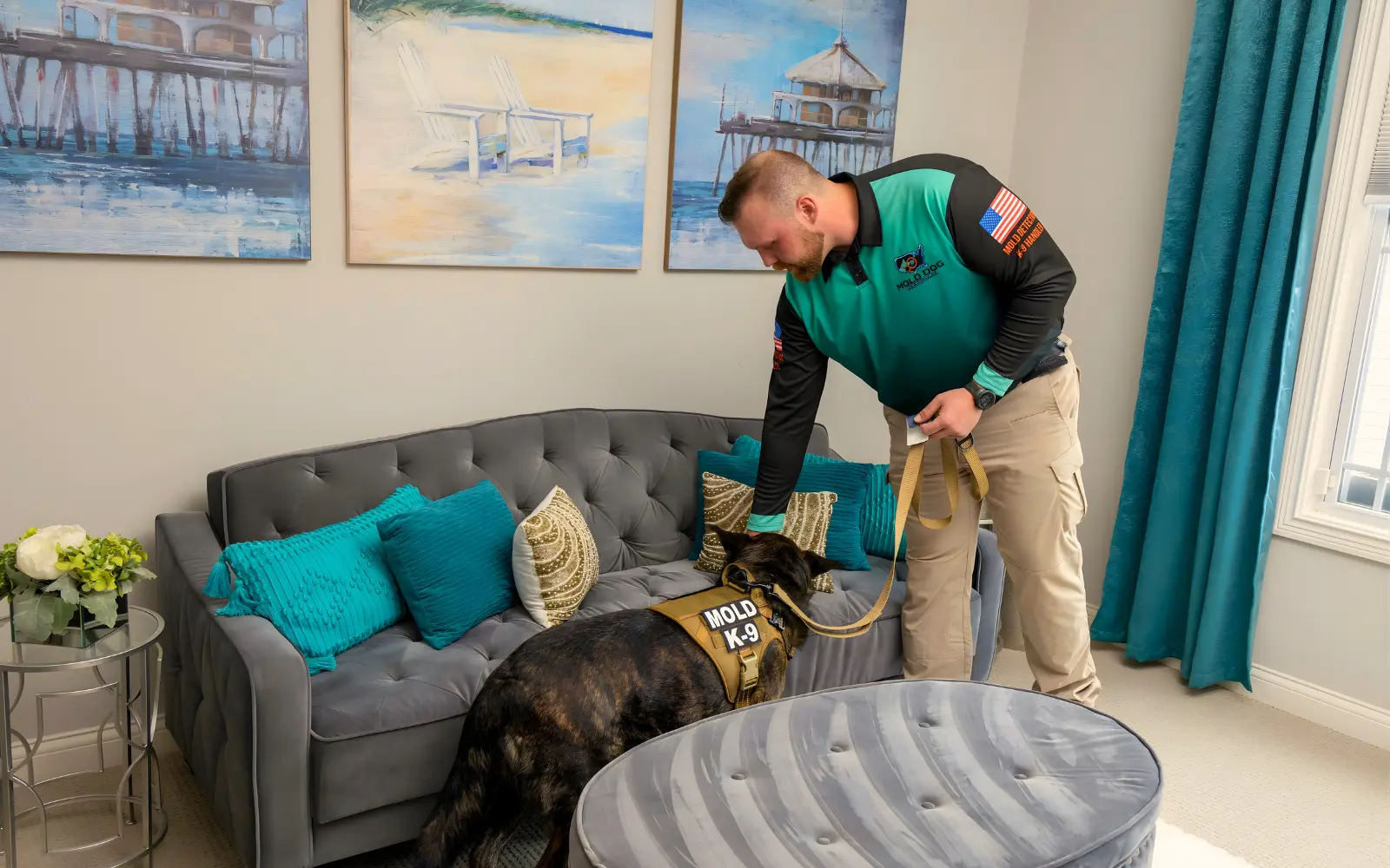 A mold dog at work during a mold inspection in a home