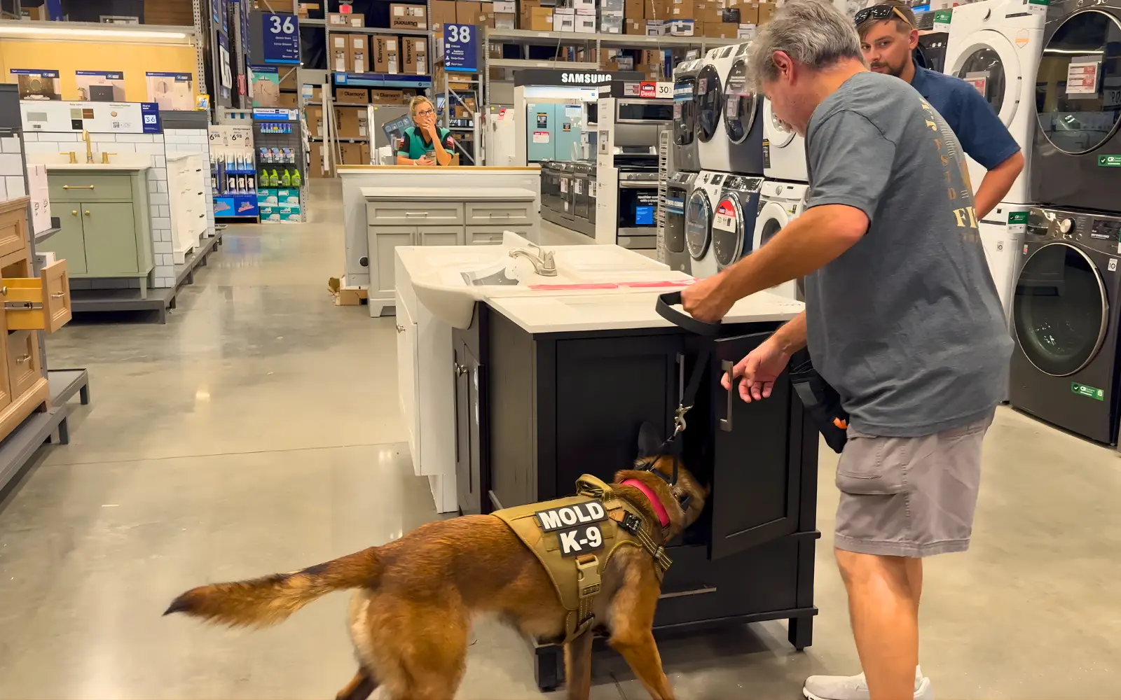 A mold dog identifying hidden mold in a commercial property