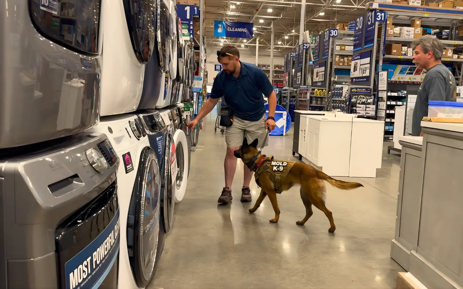 A mold dog at work in a commercial retail property