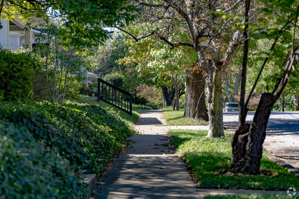 A residential street in Lexington, KY