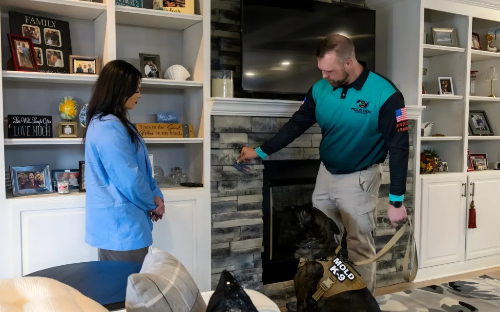 A mold dog at work during a residential mold inspection